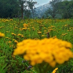 صور حديثه من أرض الجنوب بني شهر وبني عمرو