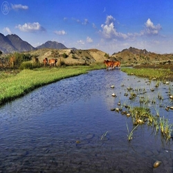 «وادي عليب» بالباحة