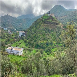 صور من بني مالك الطائف