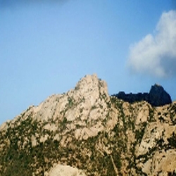 صور من بني مالك الطائف